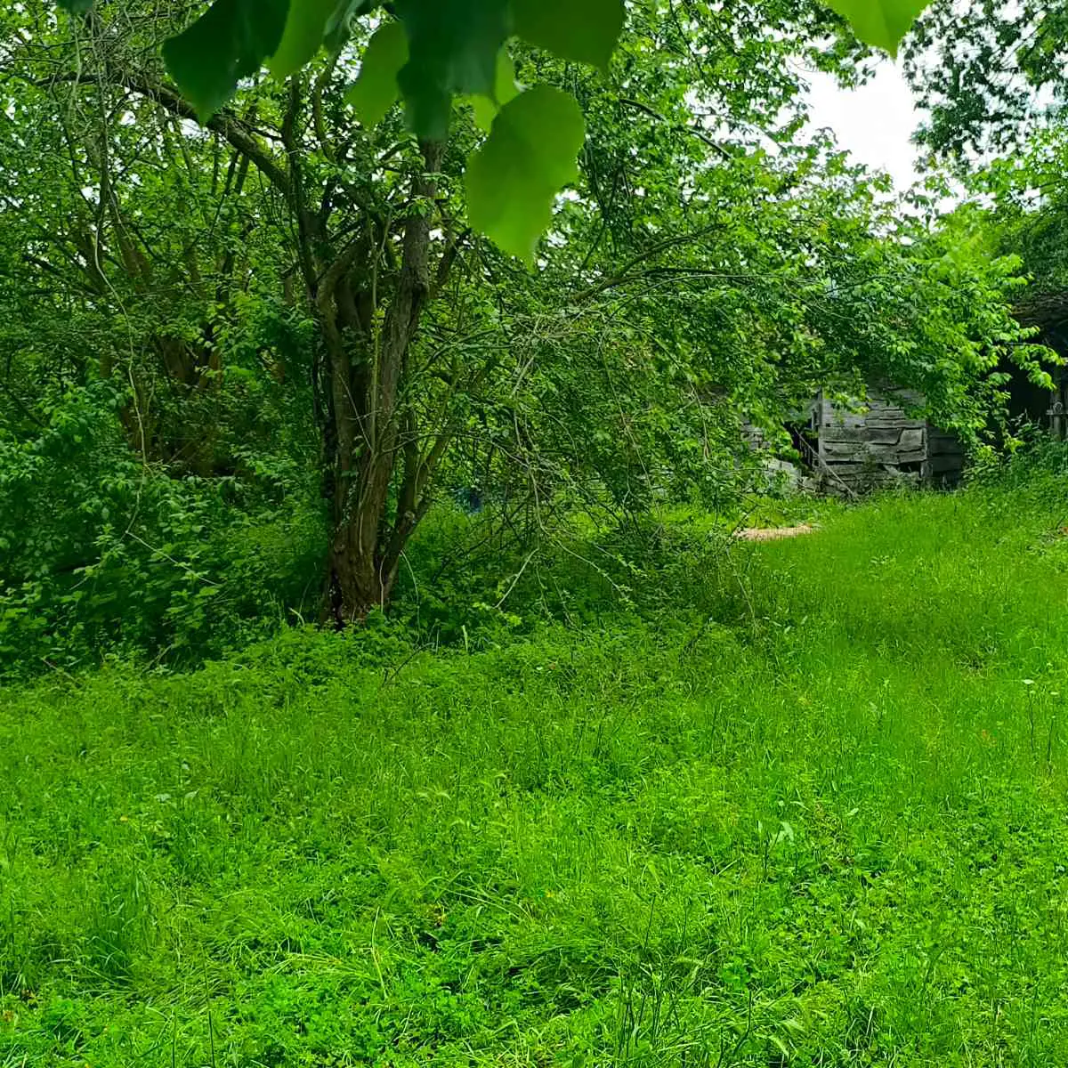 Property image 40