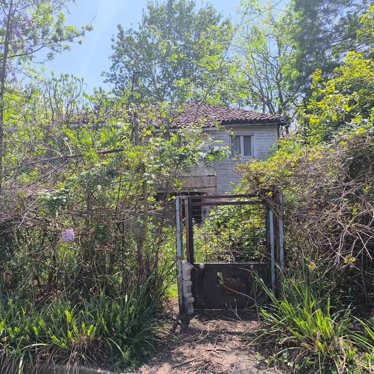 Property image 23