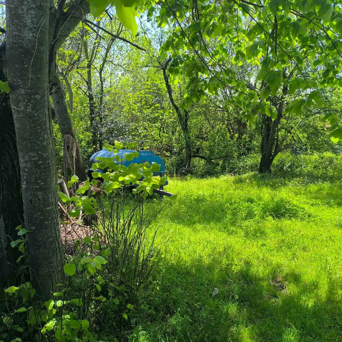 Property image 38