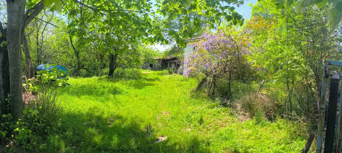 Property image 39