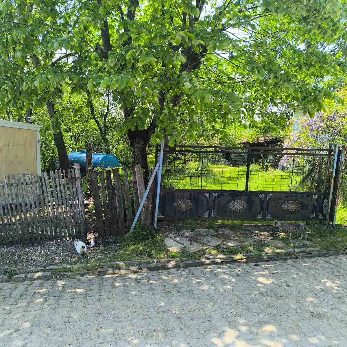 Property image 89