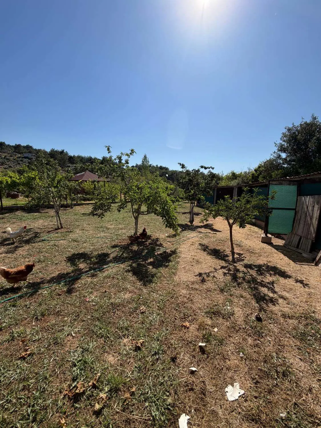 Property image 57