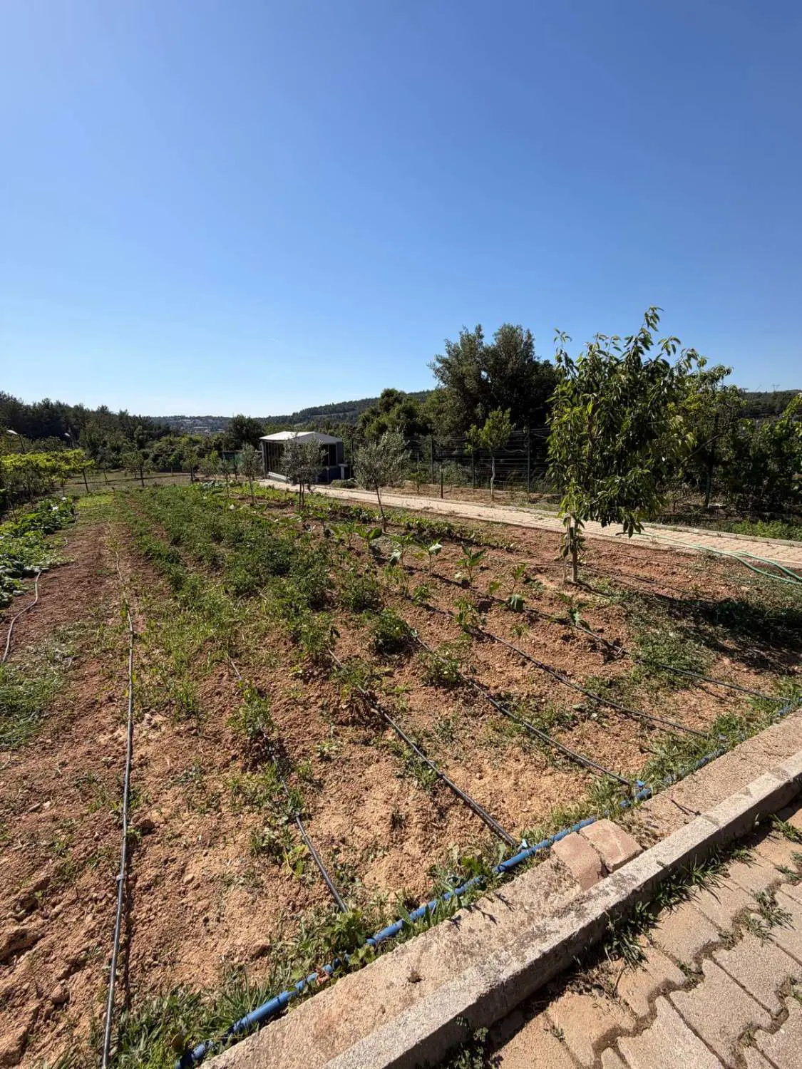 Property image 40