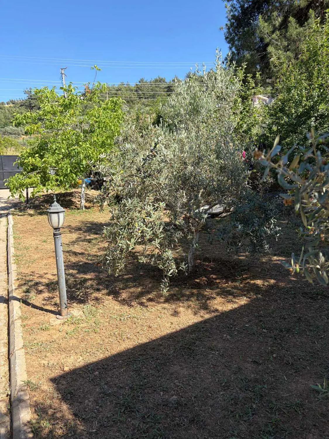 Property image 74