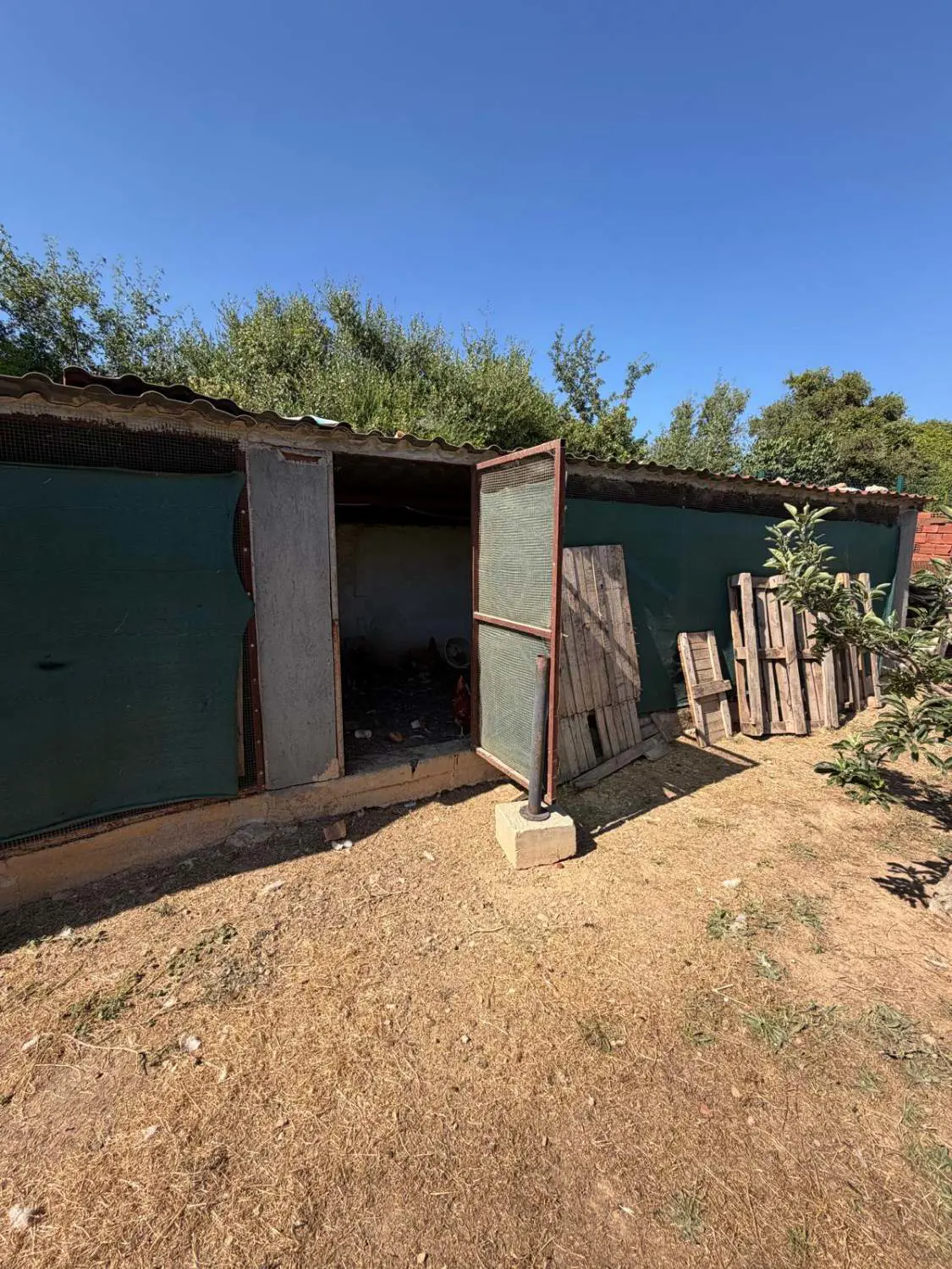Property image 61