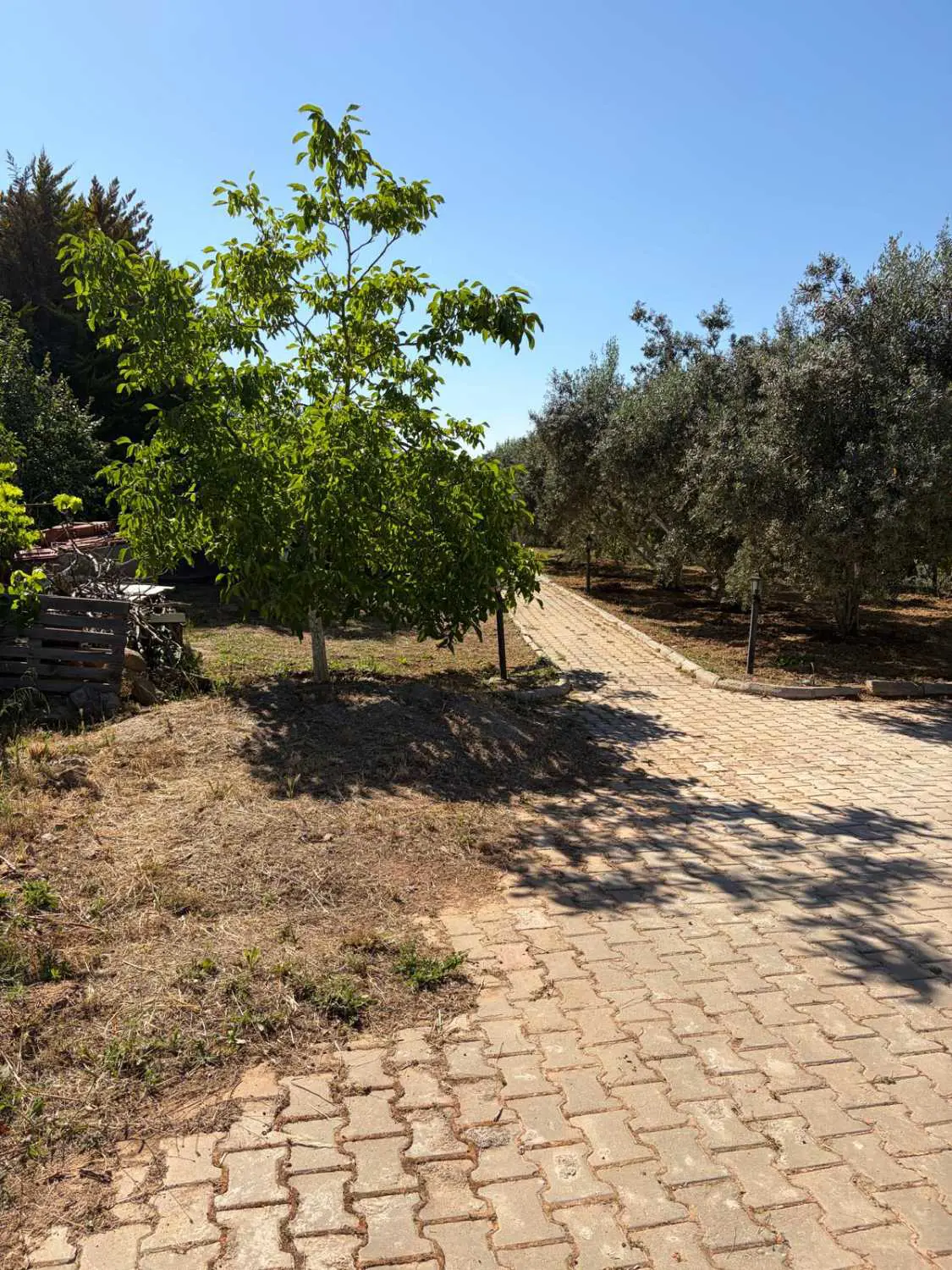 Property image 39