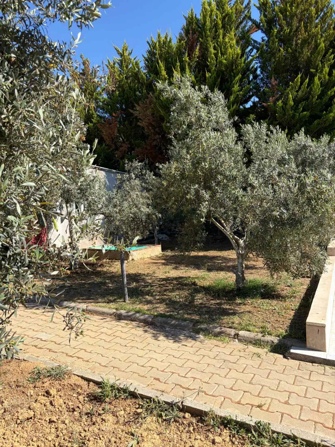 Property image 59