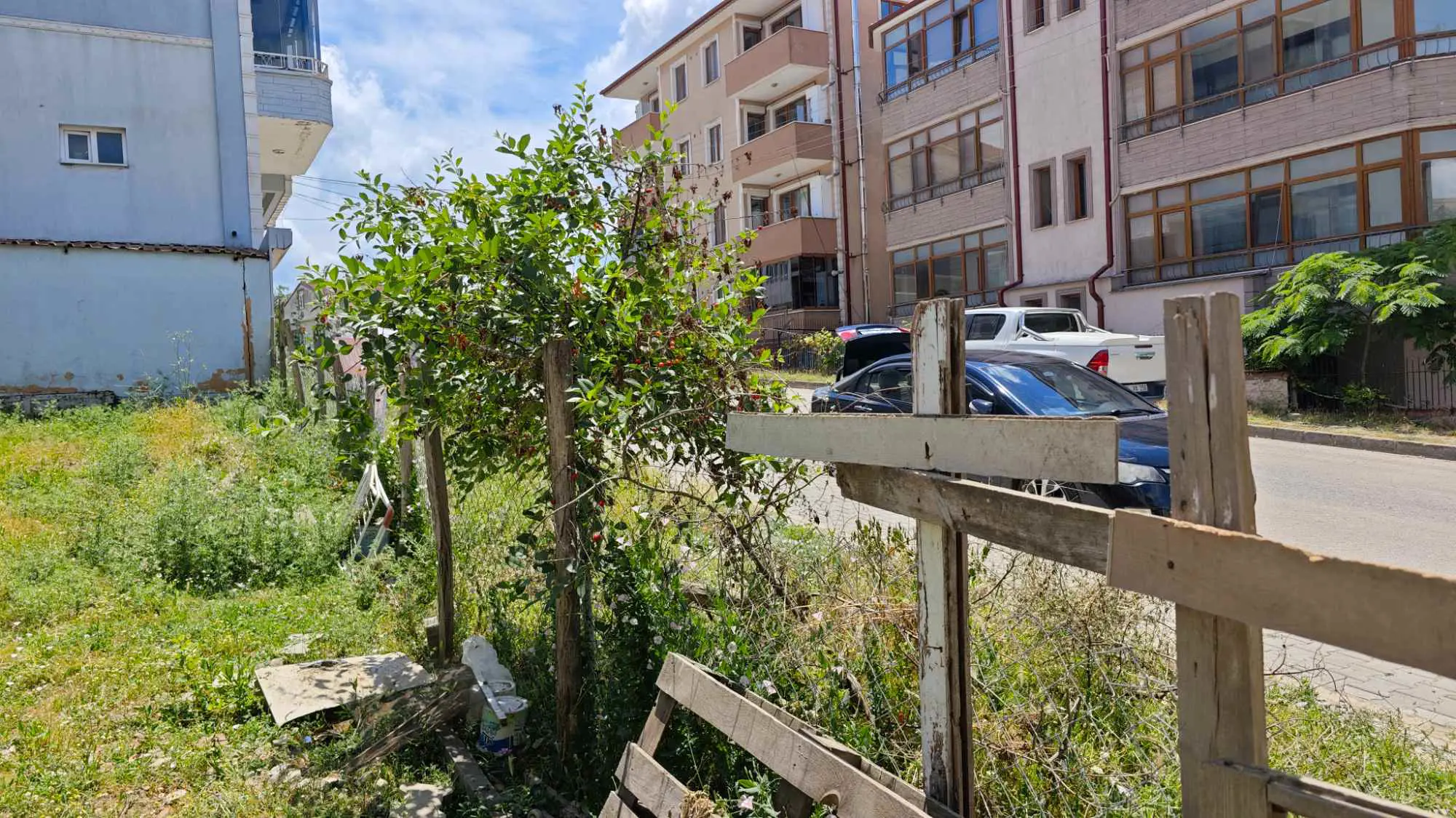 Property image 18