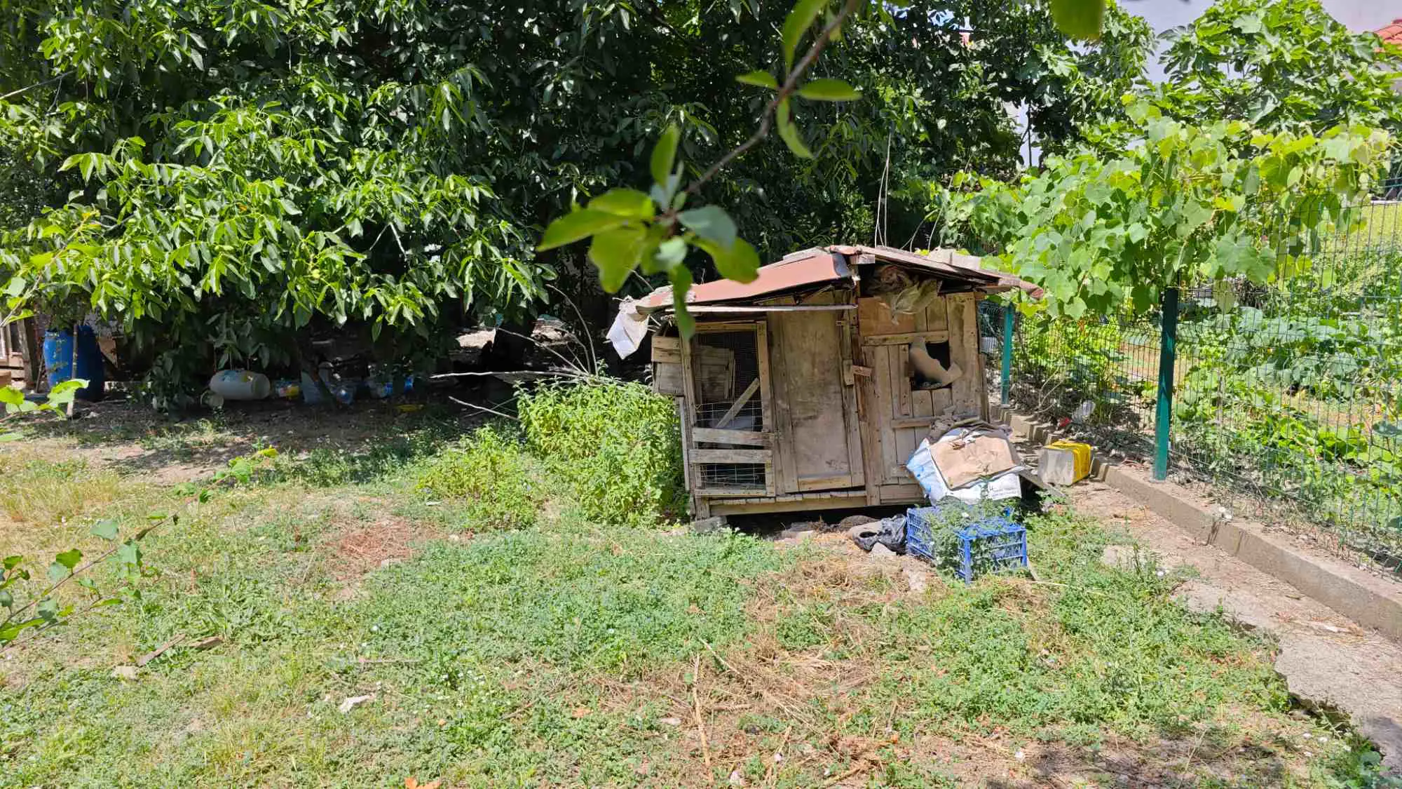 Property image 23