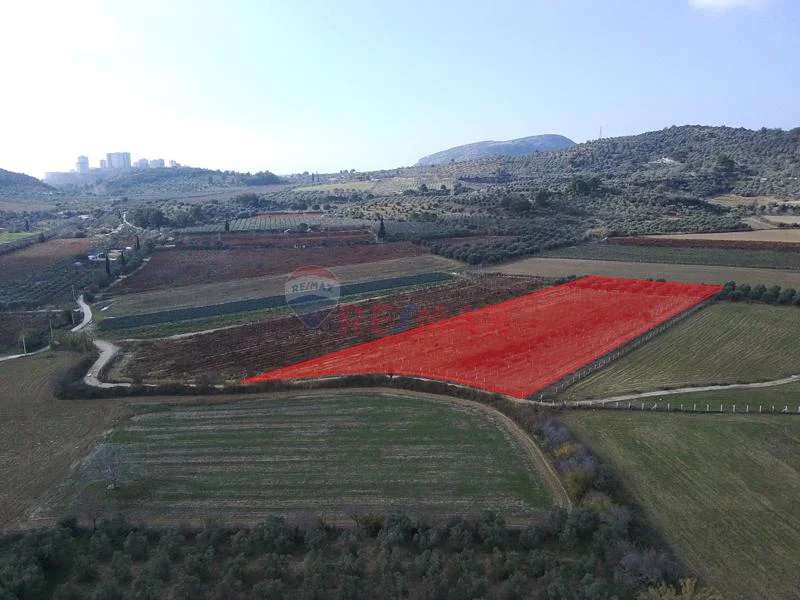 Kuşadası Değirmendere de Satılık 12400 m2 Zeytin, Bağ ve Ceviz Bahçesi