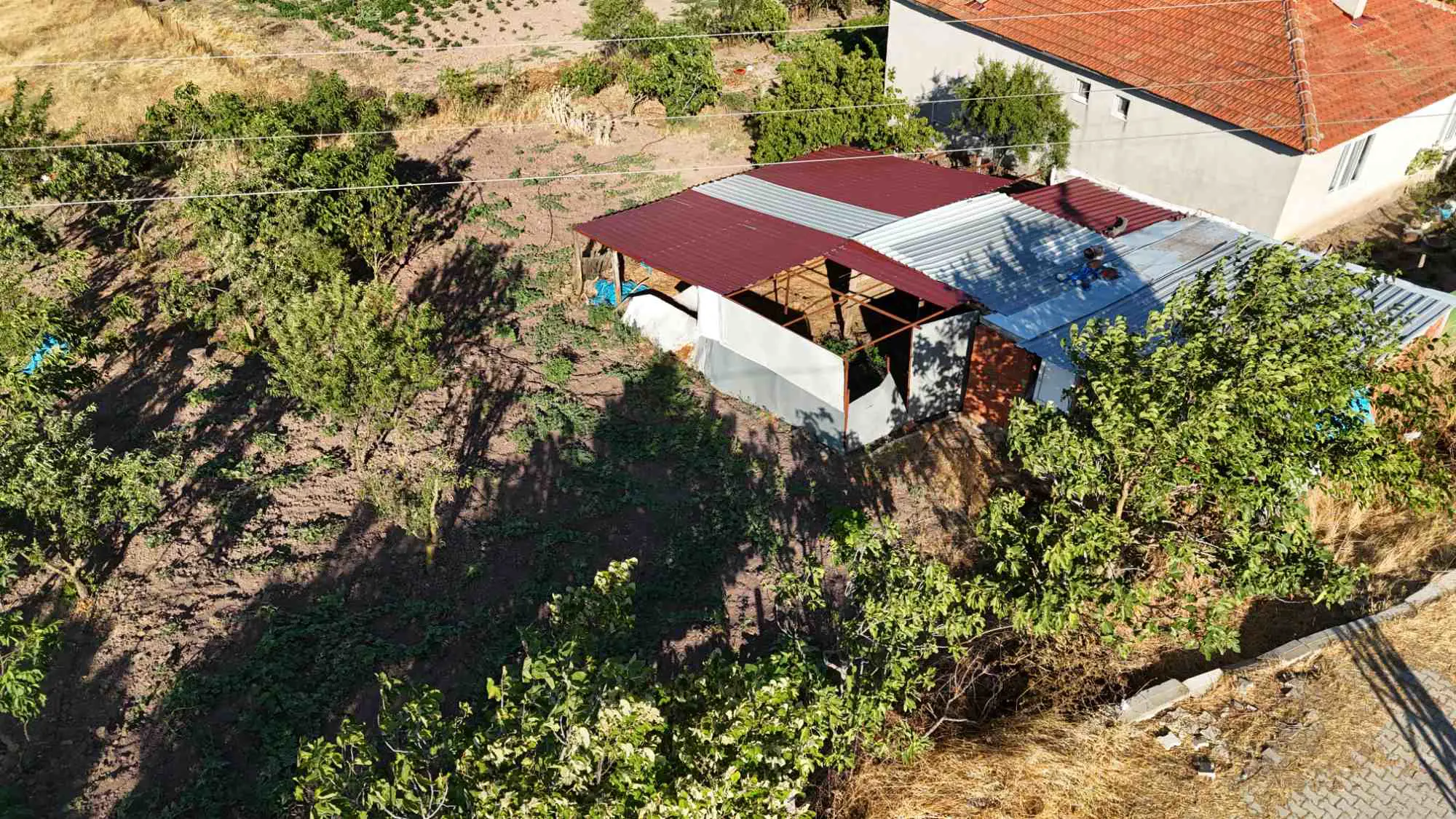 Property image 23