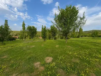 BANAZ KARAKÖSE KAYAALTI’NDA 4.000 M² ELMA BAHÇELI TARLA