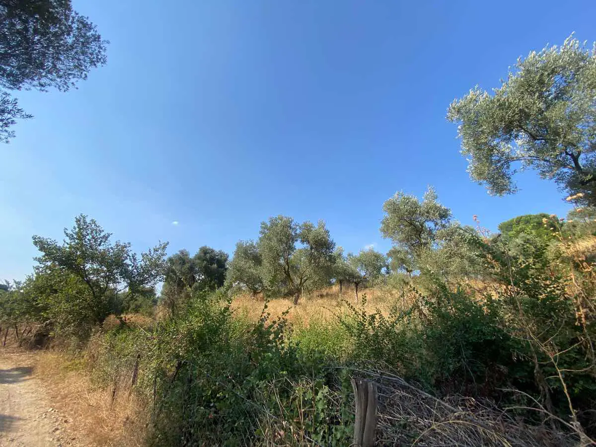 Property image 23