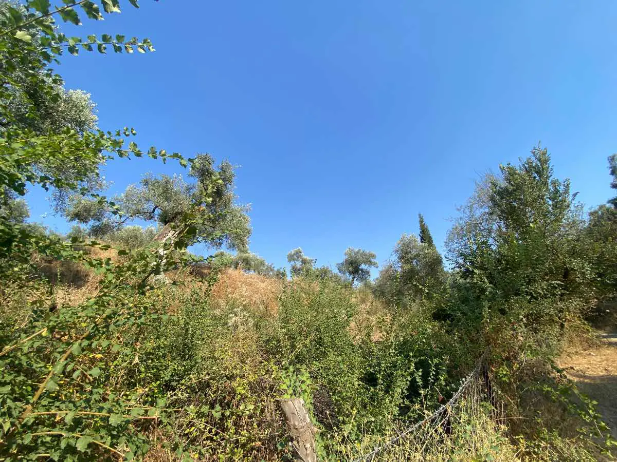 Property image 24