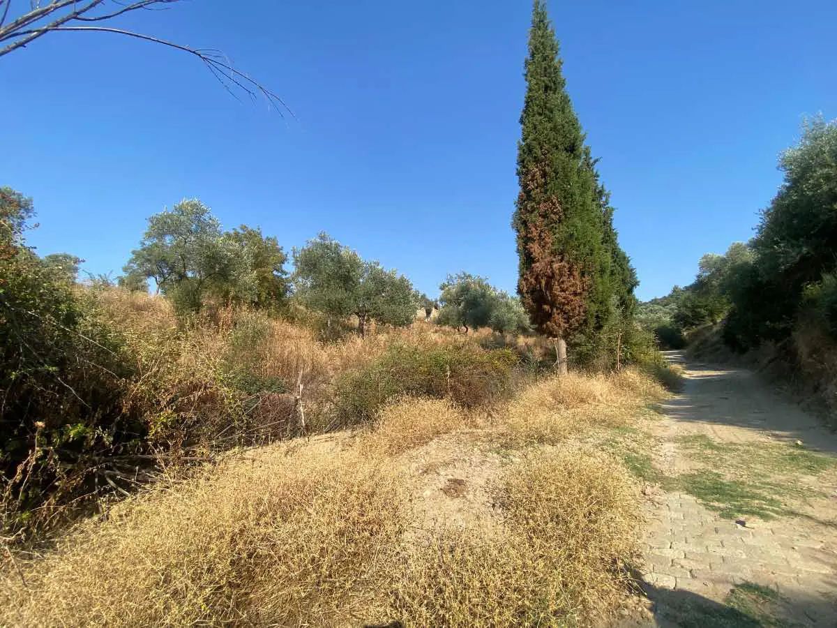 Property image 25