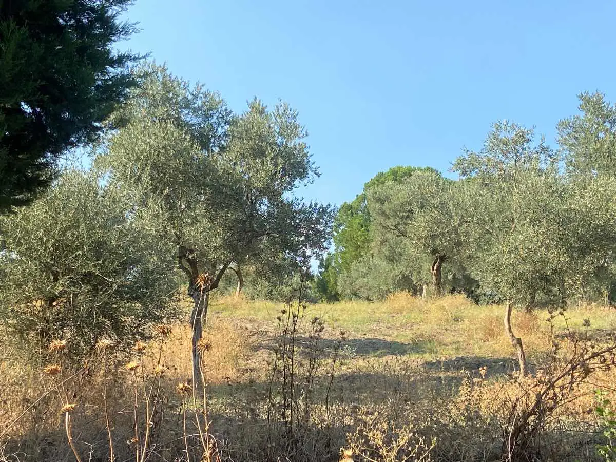Property image 18