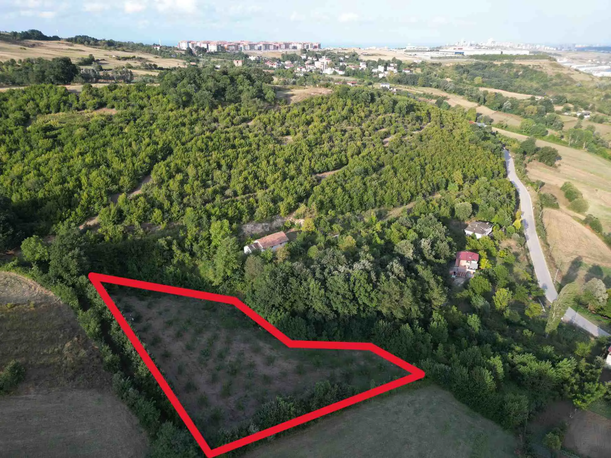 Property image 7