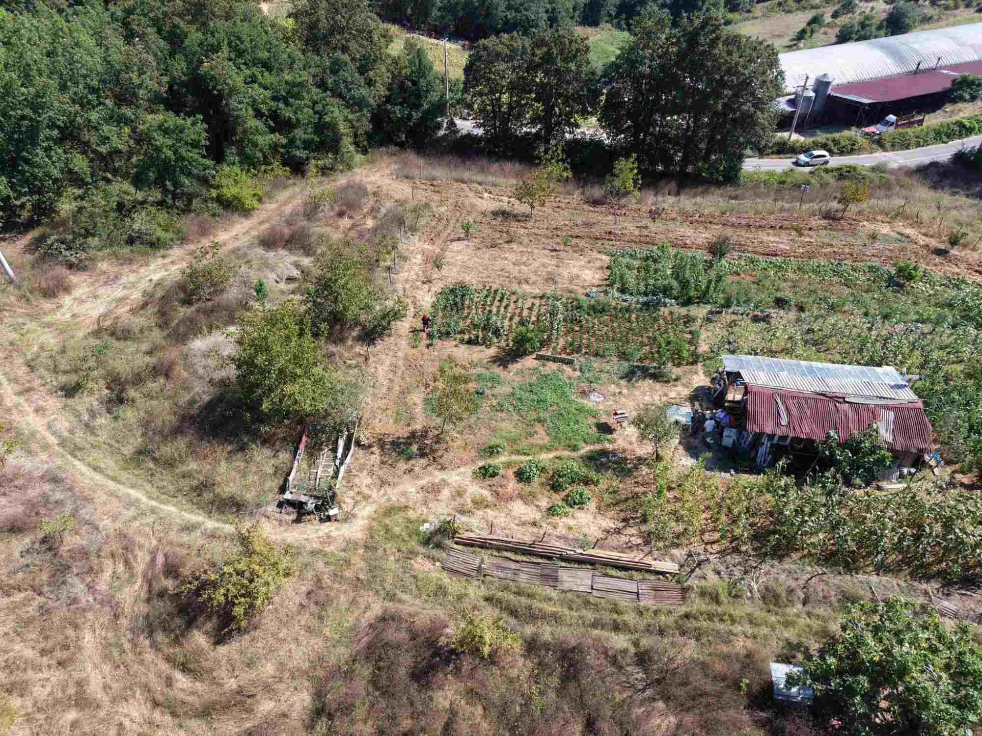 Property image 23