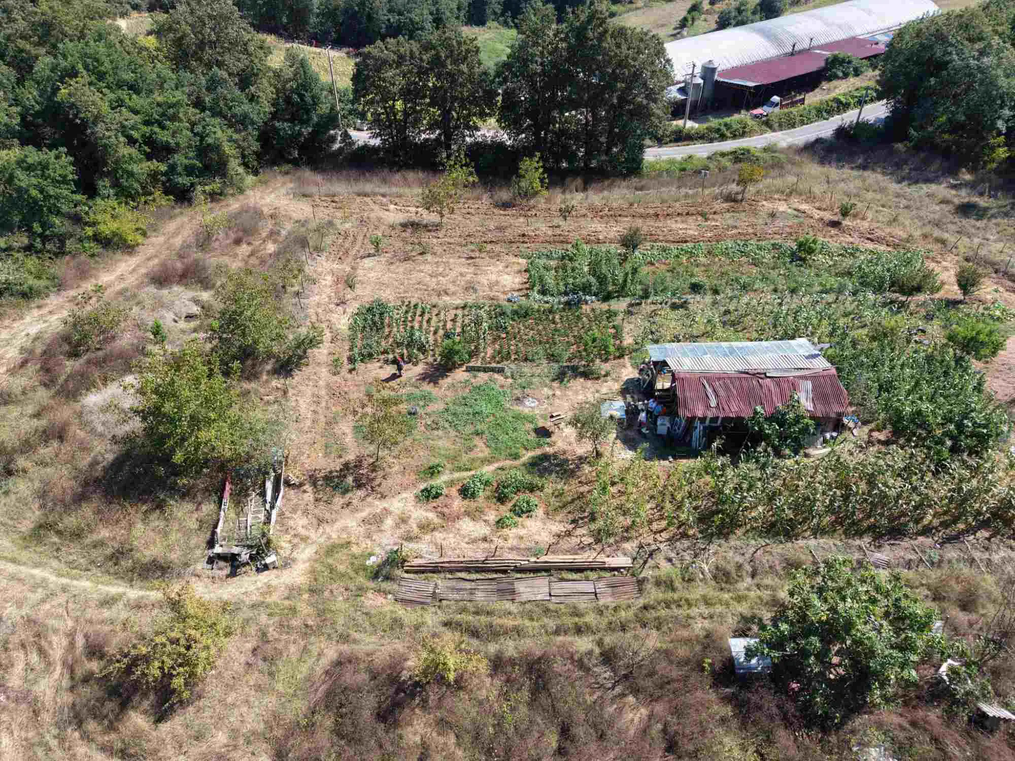 Property image 21