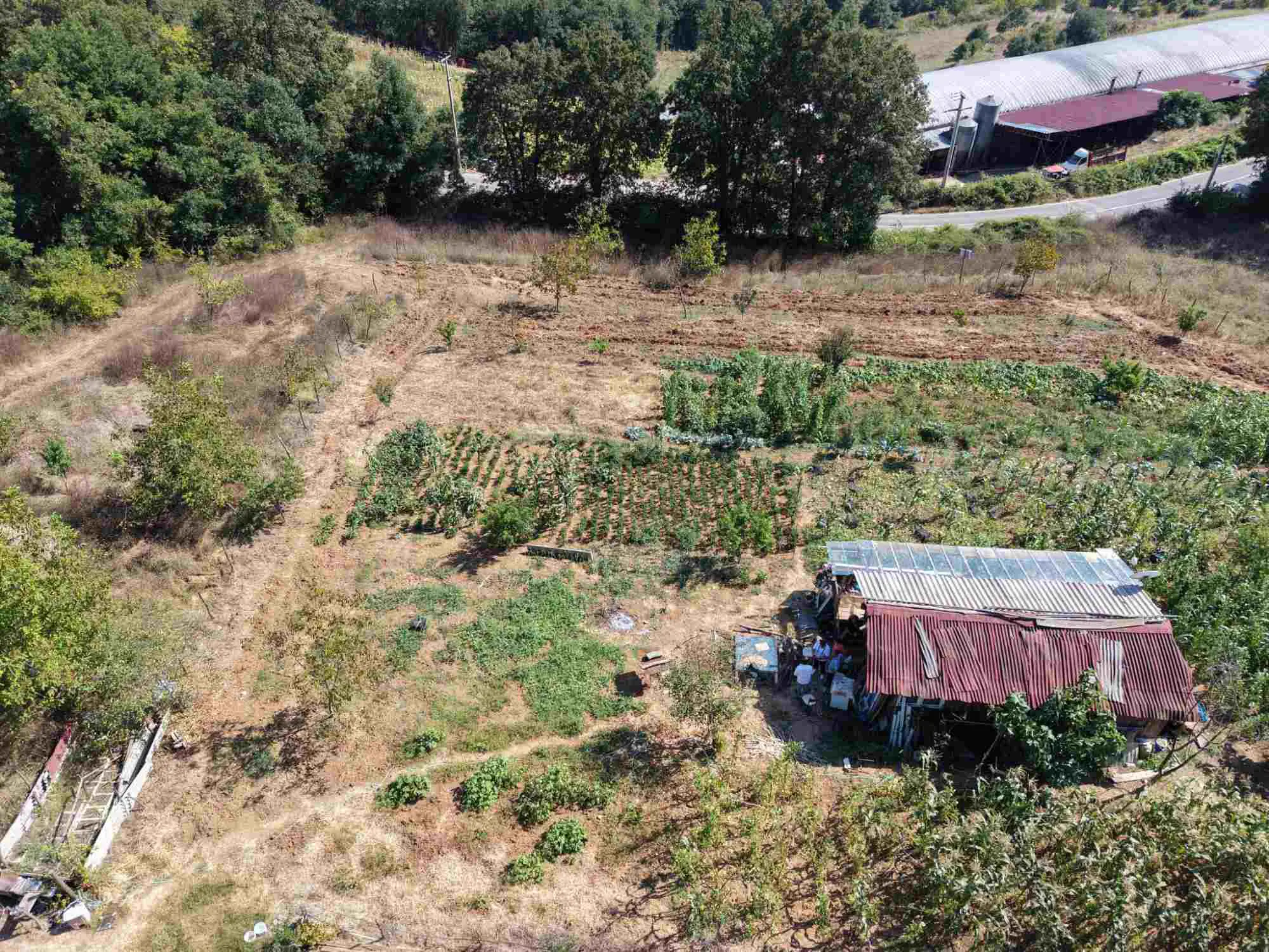 Property image 16