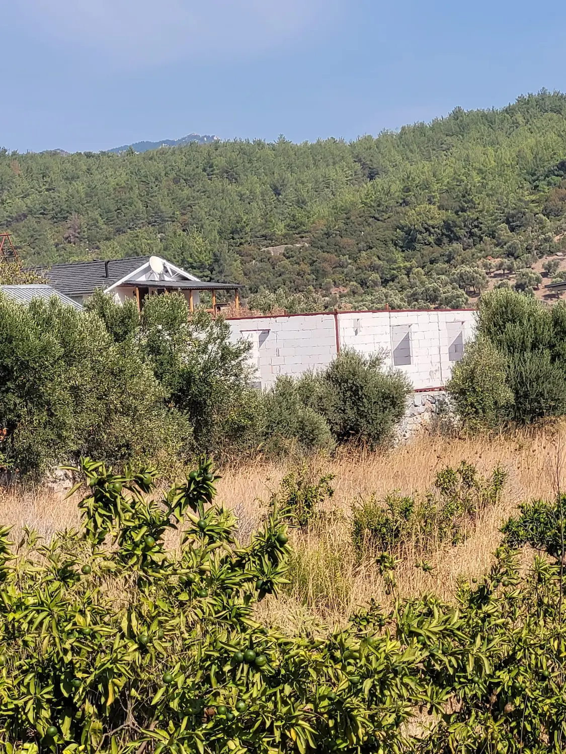 Property image 26
