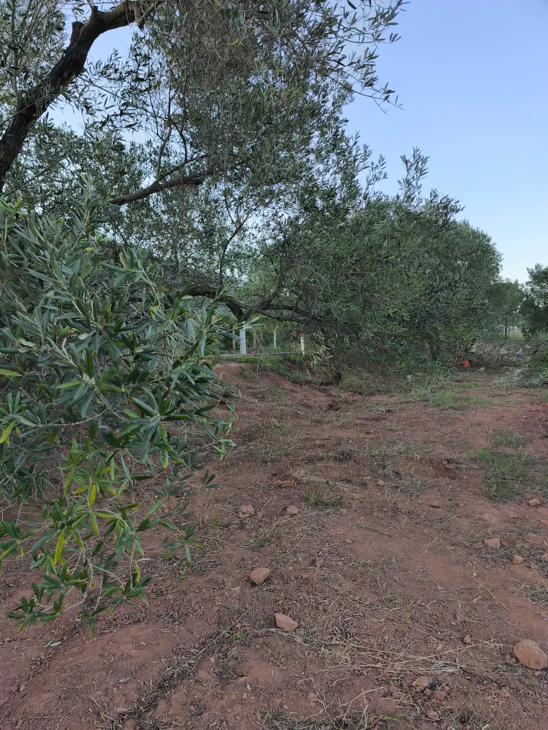 Property image 28