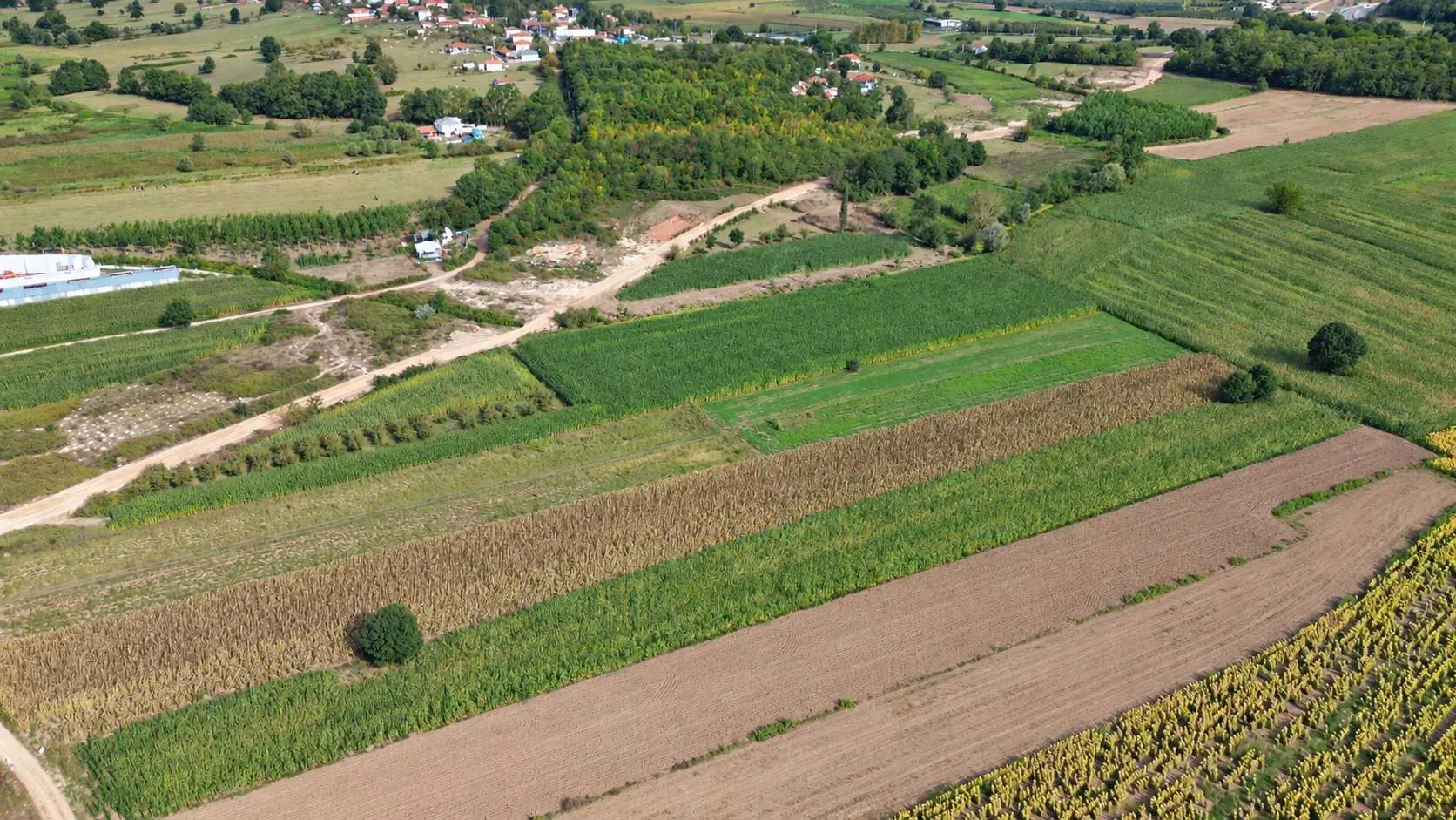 Property image 30