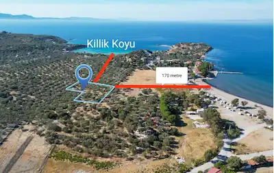 BADEMLİDE DENİZE 170 METRE MESAFEDE ZEYTİNLİ TARLA