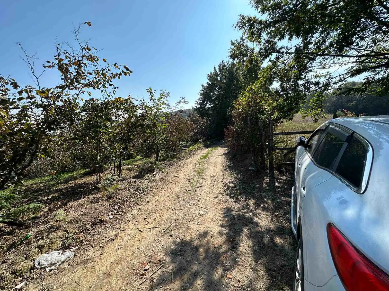 Property image 10