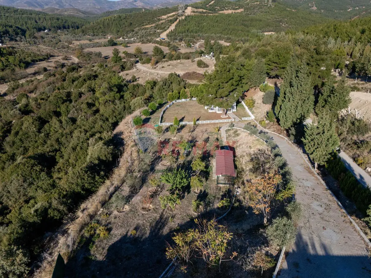 Property image 18