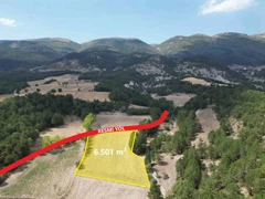 MUDURNU KILÖZÜ KÖYÜ’NDE ORMAN ETEĞINDE, YOLA CEPHELI 6.501 M² TARLA