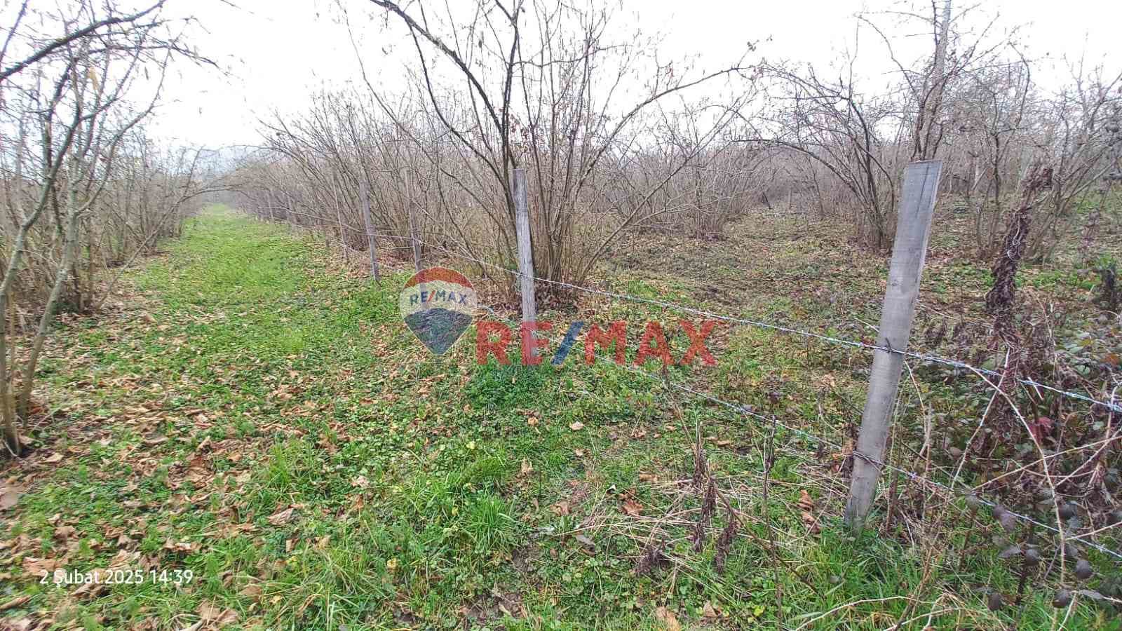 TERME AHMETBEYDE TARLA