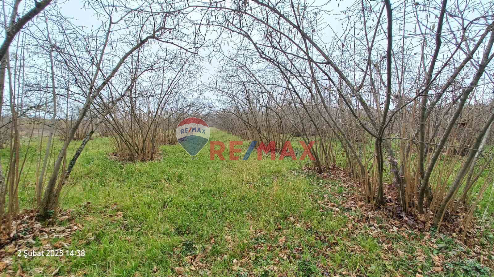 TERME AHMETBEYDE TARLA