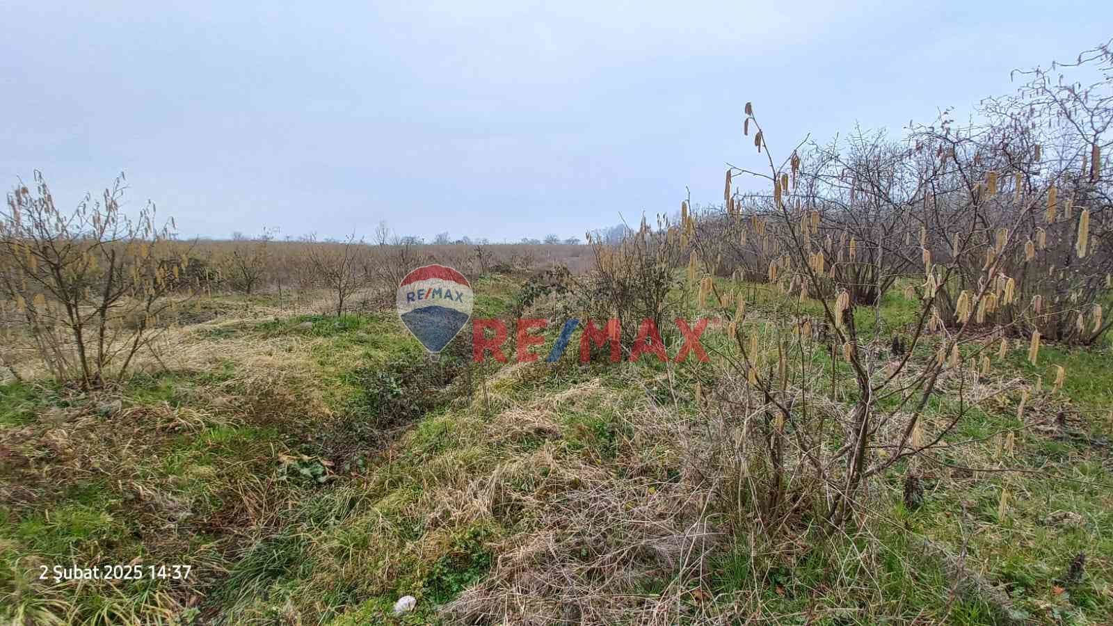 TERME AHMETBEYDE TARLA