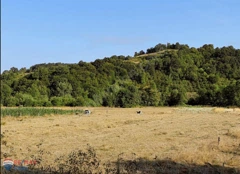 KOCAELİ KANDIRA AKÇAOVA MAHALLESİ'NDE SATILIK 2850 M2 ARAZİ