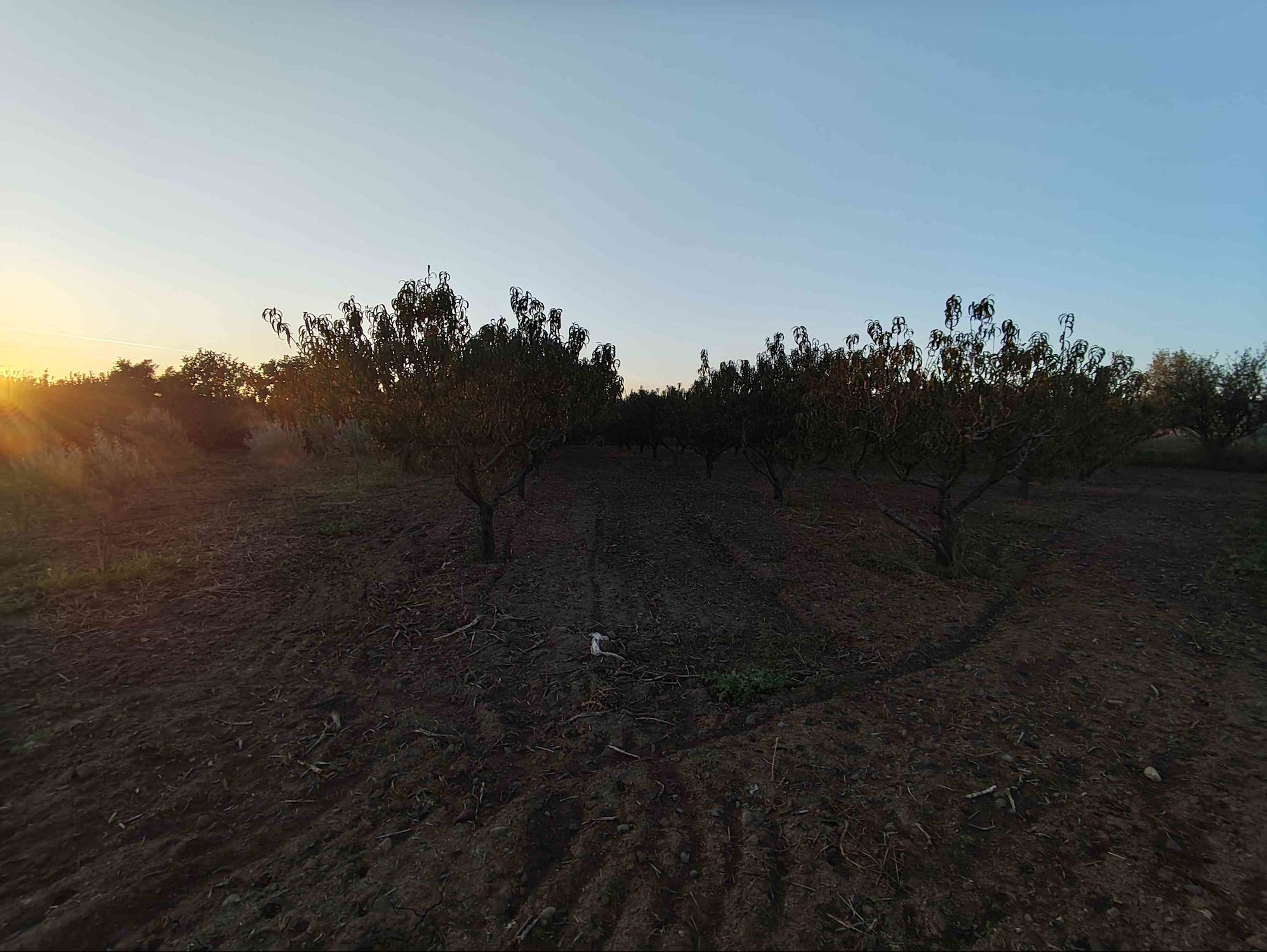 MENEMEN NOVADA AVM KARŞISI SATILIK 1541 M2 FIRSAT KONUMDA TARLA