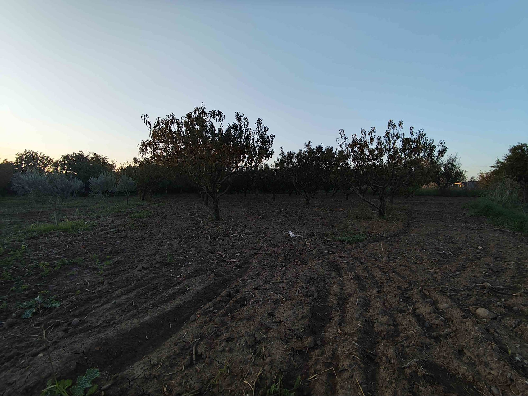 MENEMEN NOVADA AVM KARŞISI SATILIK 1541 M2 FIRSAT KONUMDA TARLA