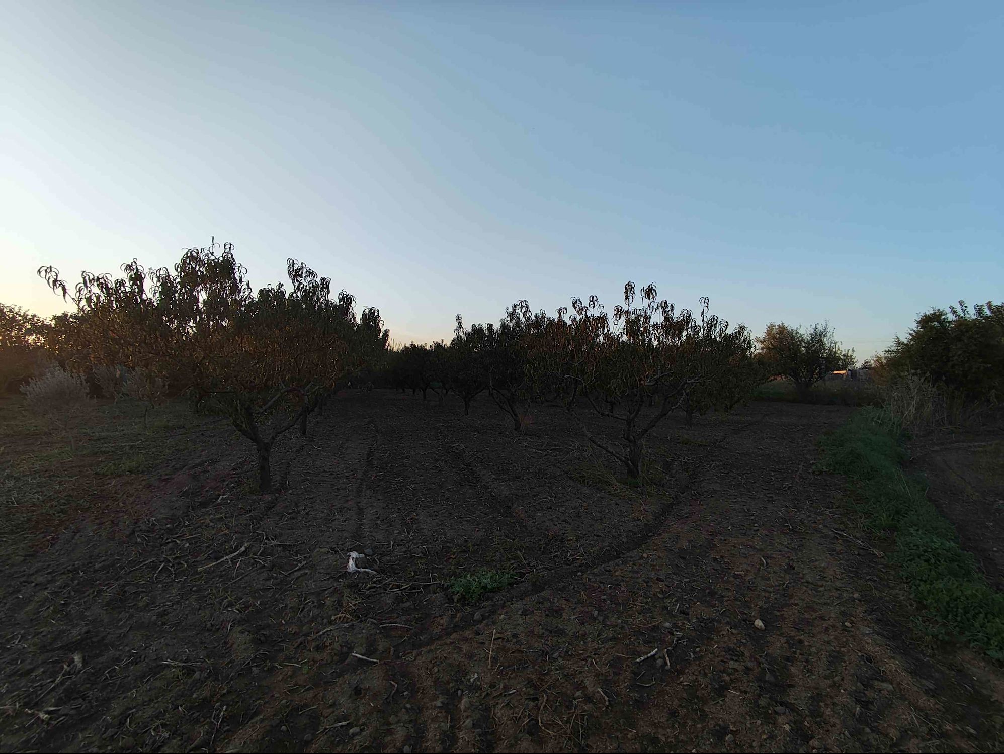 MENEMEN NOVADA AVM KARŞISI SATILIK 1541 M2 FIRSAT KONUMDA TARLA