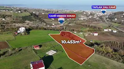 REMAX PARLA'DAN TAFLANDA SATILIK DENİZ MANZARALI 10 DÖNÜM TARLA