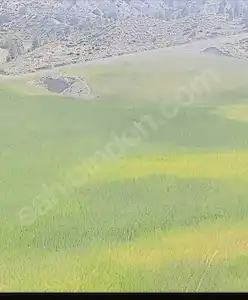BURDUR YEŞİLOVA ARMUT KÖYÜ TARLA