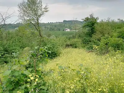 SAKARYA HENDEK'TE SATILIK TARLA