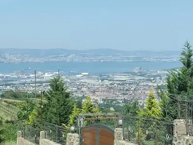 REMAX MAXİMUM SİVRİTEPE SATILIK BAĞ