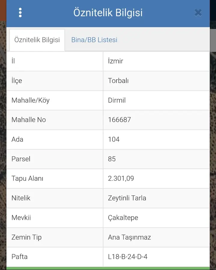 TORBALI DİRMİLDE  TEK TAPU SATILIK VERİMLİ ZEYTİNLİK