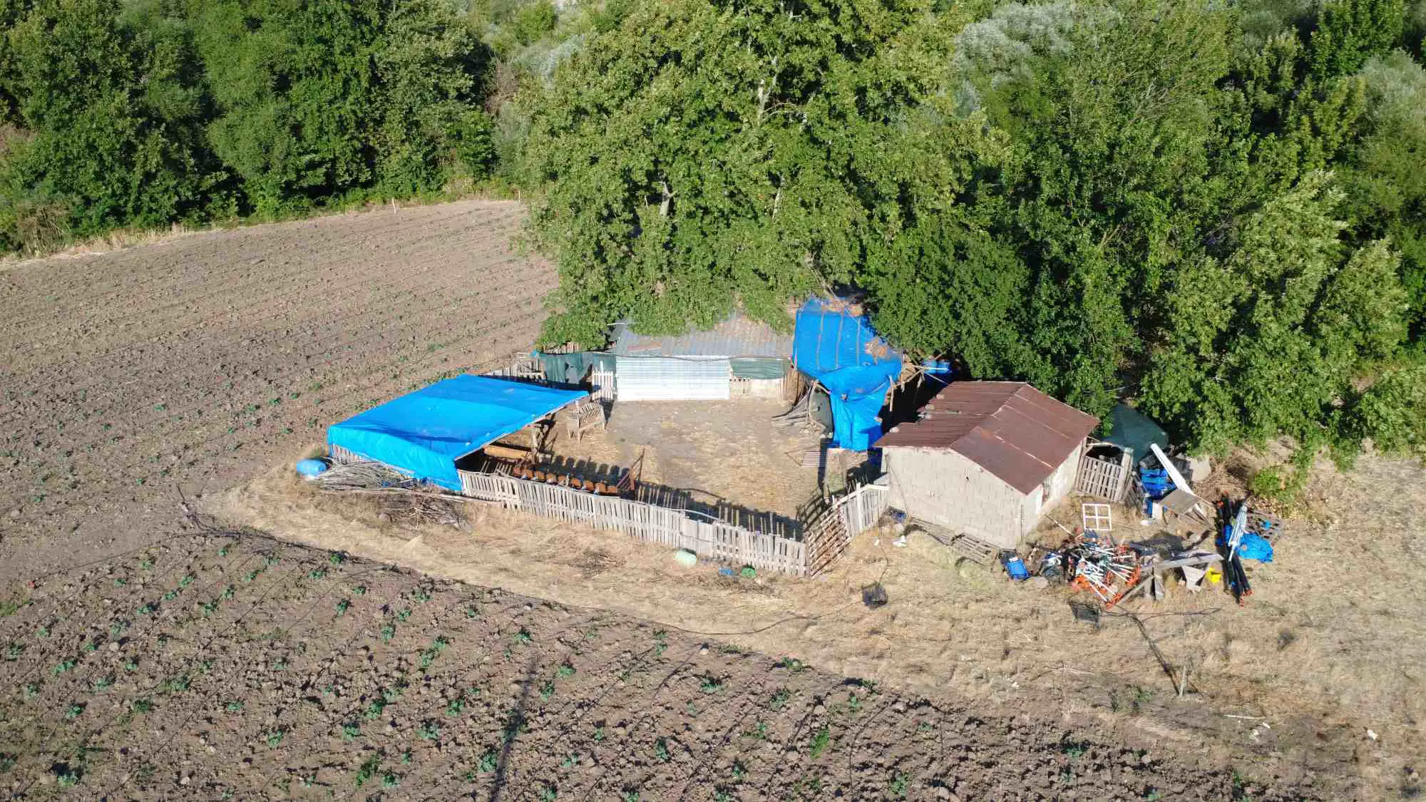 Property image 17