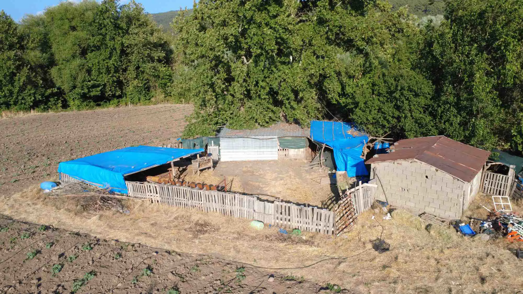Property image 22