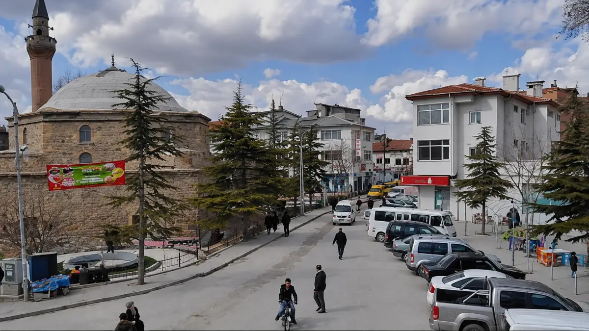 AFYON BOLVADİN RESMİ YOLA CEPHELİ 18444M2 SATILIK TARLA