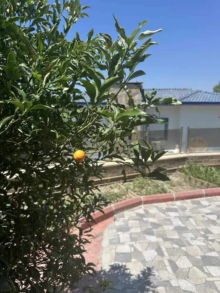Property image 21