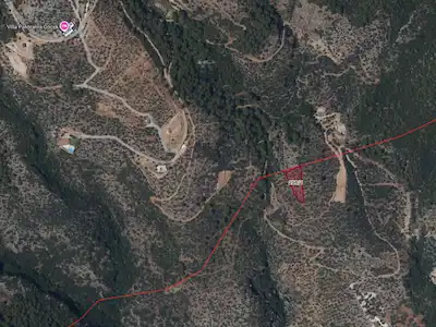 MUĞLA İNLİCE SATILIK 2335 M2 ZEYTİNLİK- REMAX KAYA