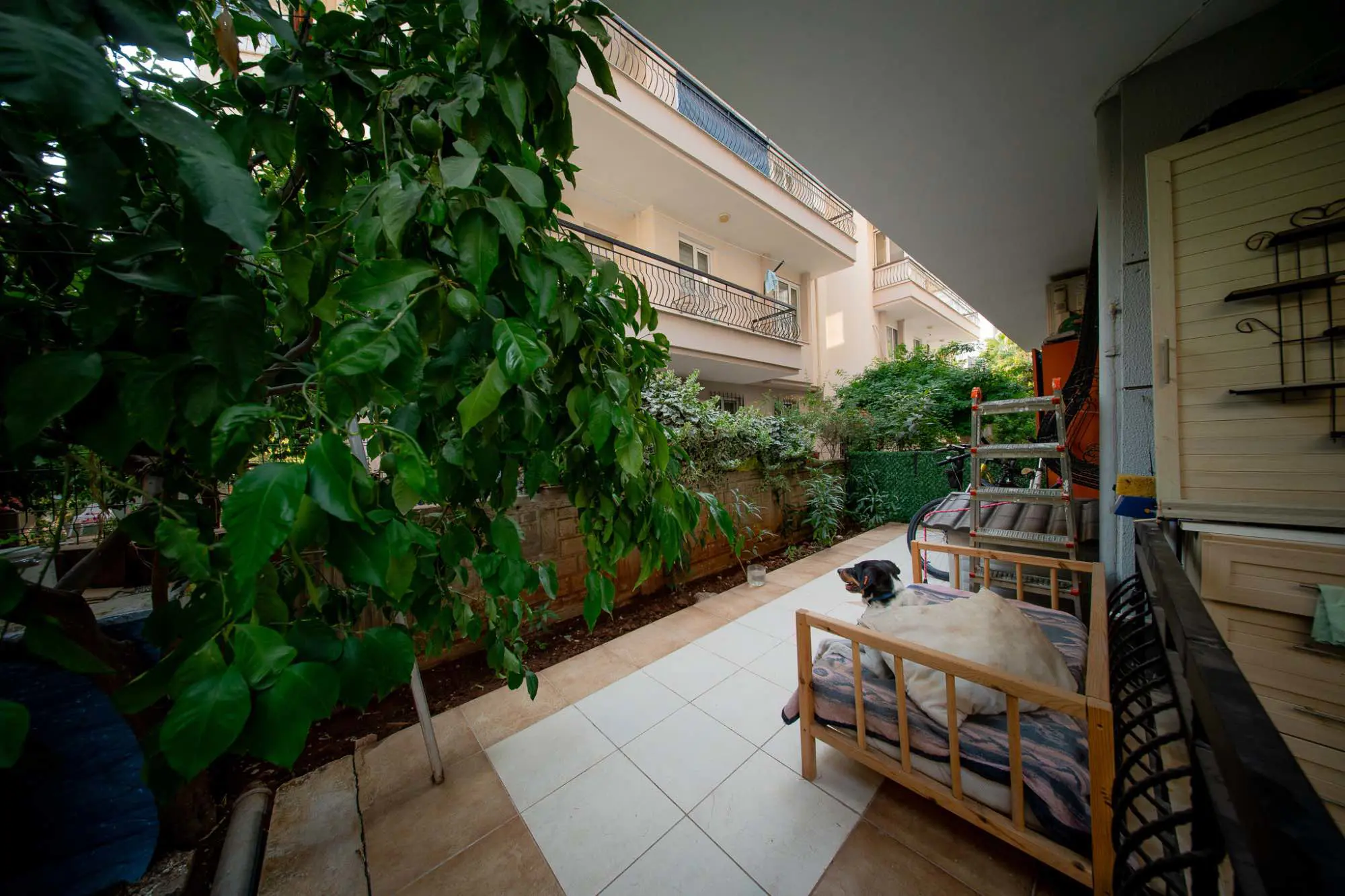 Property image 28