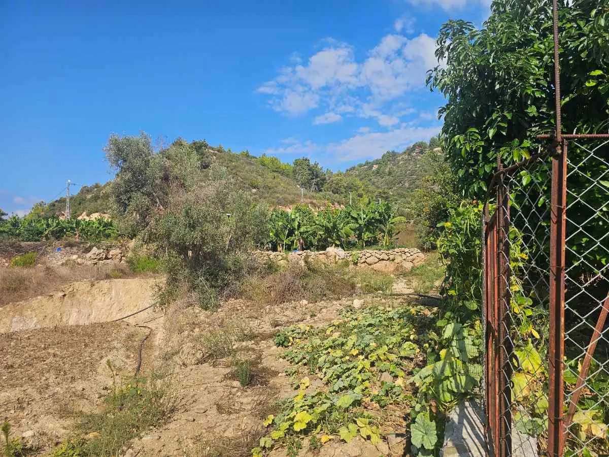 Property image 12